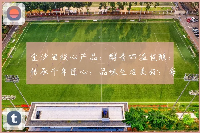 金沙酒核心产品，醇香四溢佳酿，传承千年匠心，品味生活美好，每一滴都是经典。