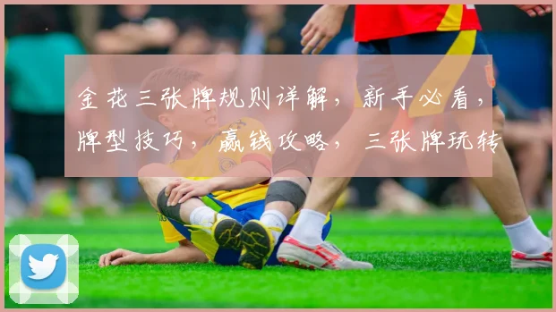 金花三张牌规则详解，新手必看，牌型技巧，赢钱攻略，三张牌玩转技巧，轻松上分